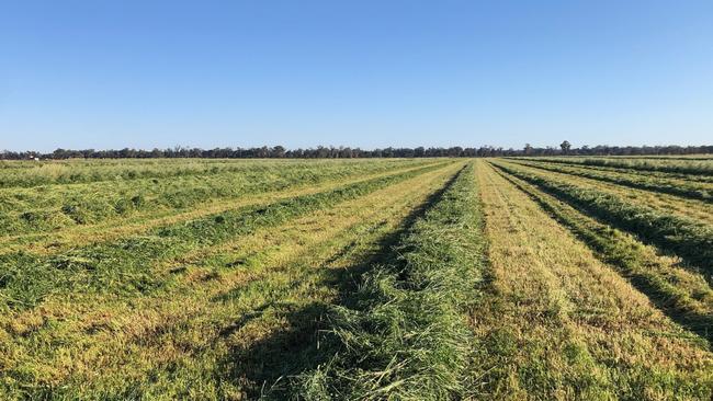 The Fairholme Aggregation comprises two irrigated landholdings.