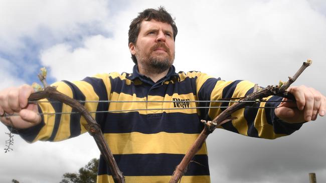 Jim Franklin-McEvoy (Chairman Inverbrackie Creek Catchment) pictured at Bird in Hand Winery. STORY: Bird in Hand and other wineries are concerned about plans to open a gold mine right next to their winery. Pic: Tricia Watkinson