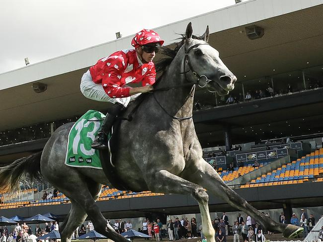 SYDNEY, AUSTRALIA - APRIL 27: Dylan Gibbons riding Martini Mumma wins Race 4 TAB Highway Handicap during Sydney Racing at Rosehill Gardens on April 27, 2024 in Sydney, Australia. (Photo by Jeremy Ng/Getty Images)