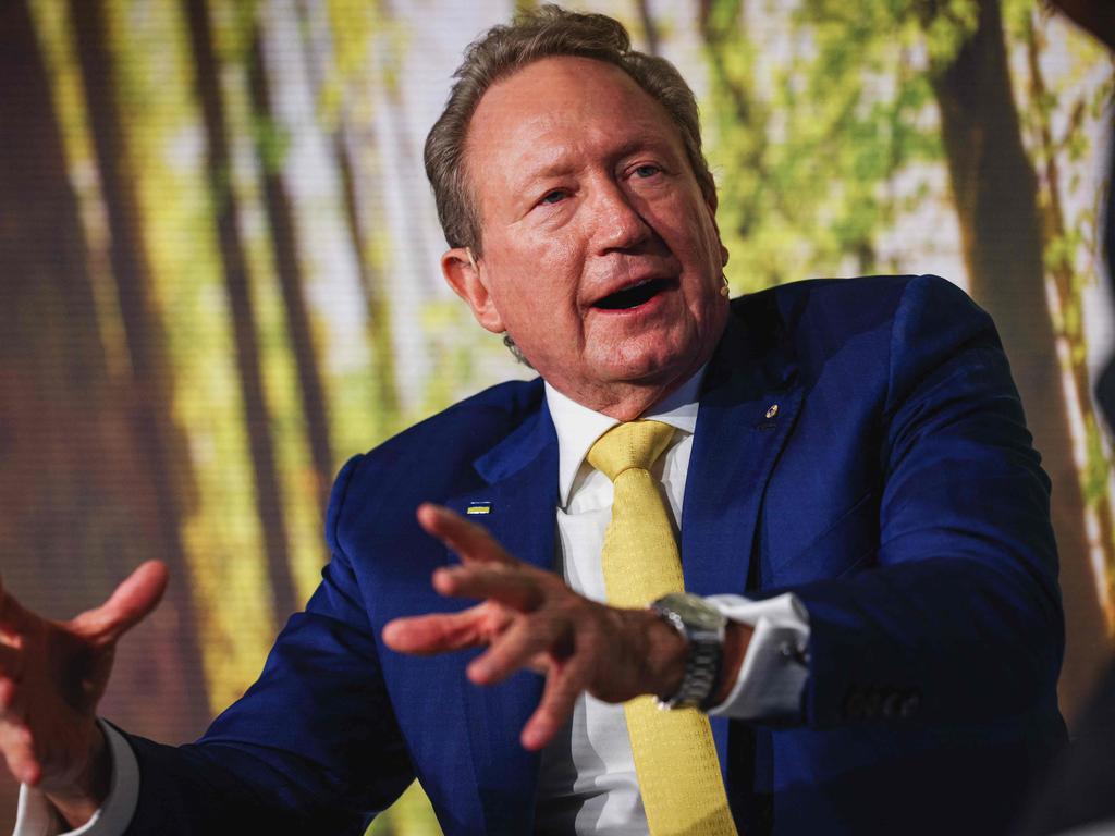 Fortescue Metals Group non-executive chairman Andrew Forrest. Picture: AFP