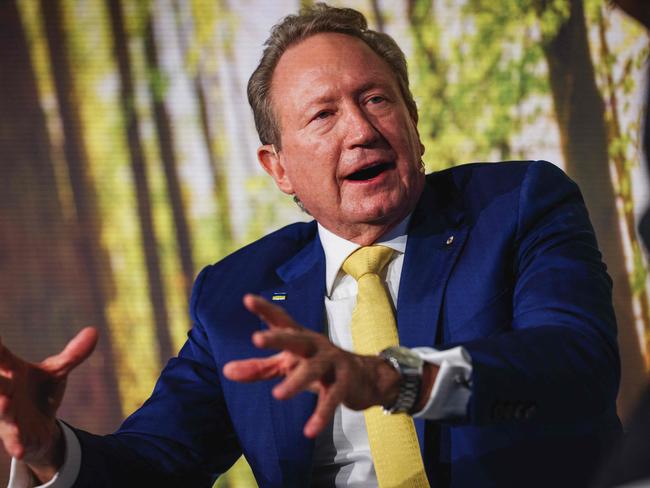 Fortescue Metals Group non-executive chairman Andrew Forrest. Picture: AFP