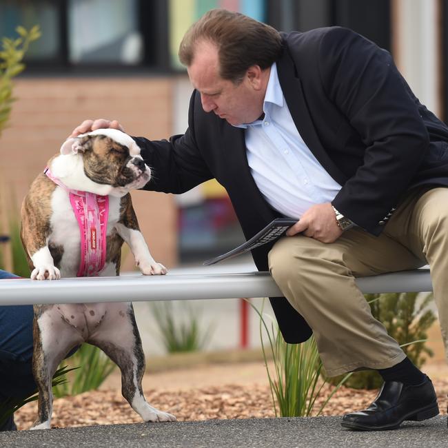 Election Day coverage in the seats of McEwen. Labor's Rob Mitchell tries convincing Trayci the Australian Bull dog to vote labor at Sunbury West Primary school. Picture: Tony Gough