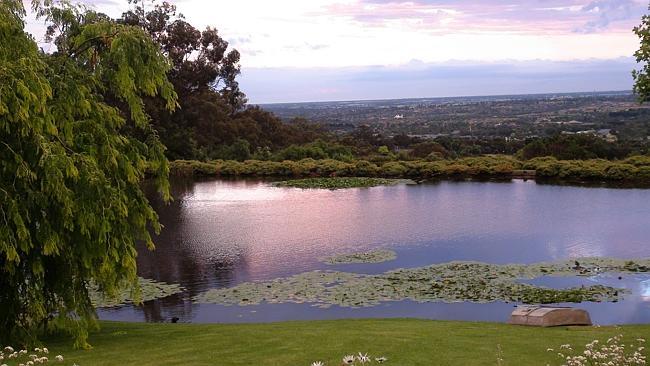 Tranquility garden