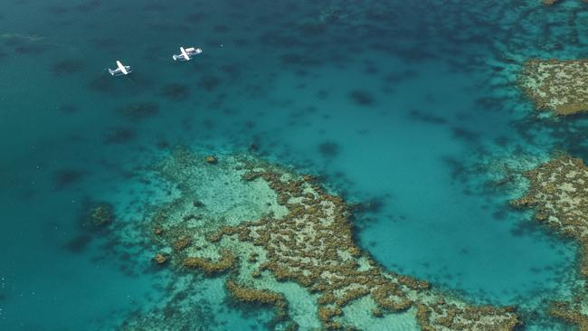 The attack took place at Hardy Reef. Picture: File photo/Tourism Australia