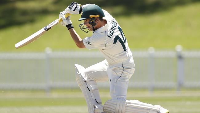 Marcus Harris looked in good touch early at Drummoyne Oval.