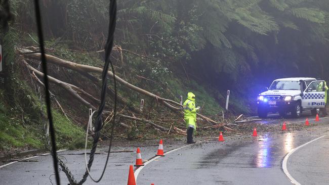 Power lines and a tree down on Mt Dandenong Tourist Rd near Sassafras. Picture: David Crosling