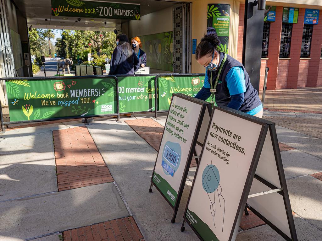 The cost of weekday visits and school visits to Melbourne’s zoos will increase. Picture: Jason Edwards