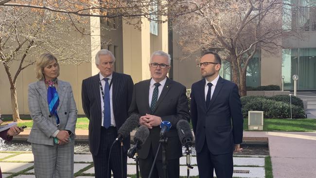 Zali Steggall, John Hewson, Andrew Wilkie and Adam Bandt last week called for the declaration of a climate emergency.