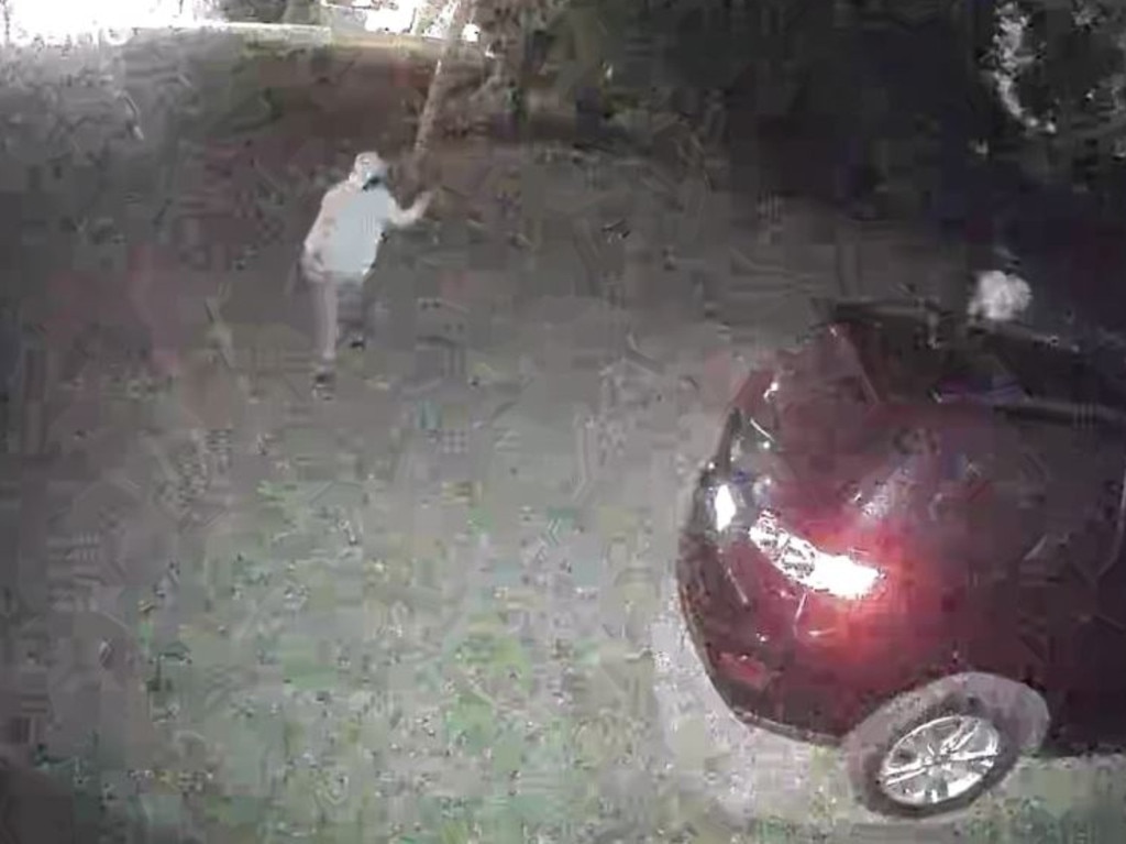 A Haitian woman living in Springfield, Ohio, says strangers have thrown acid on her car in the wake of the ‘cat-eating’ conspiracy. She has installed CCTV in her driveway (above) but is still being targeted. Picture: Haitian Times