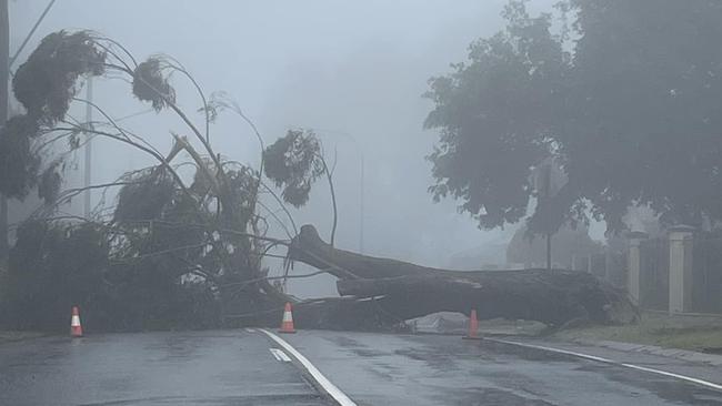 Gusts reaching 100km/hr in Toowoomba brought down a massive tree rear the Rowbotham Stenner Sts intersection.