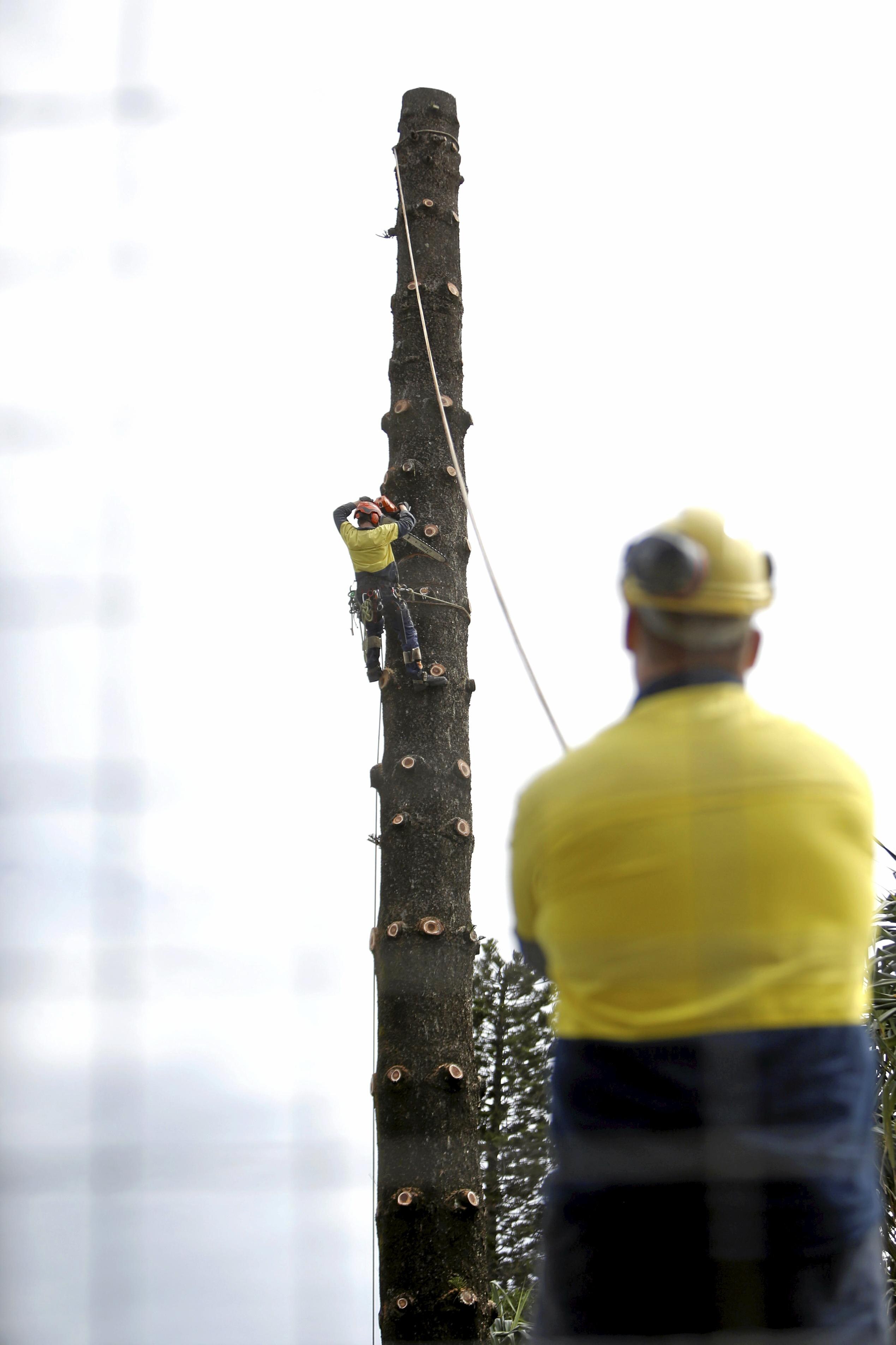 Council begins work on refurbishing Lions Park on the beachfront at Kingscliff. Picture: Richard Mamando