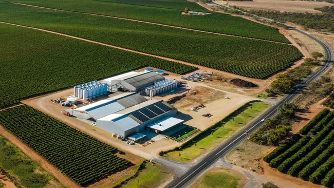 Salena Estate’s business and vineyards will be put on the market once the current vintage is completed.