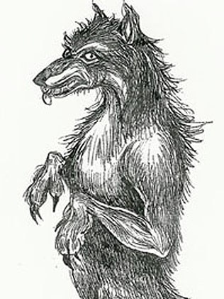 Dogman ... An artist’s impression. Source: Linda S. Godfrey blog