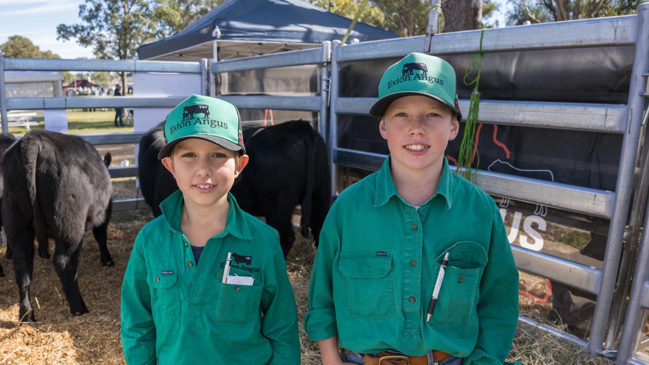 Jacob Schmaling (9) and Hugh Barker (11) looking after the cattle at their stall at Farm Fest. June 4, 2024. Picture: Christine Schindler