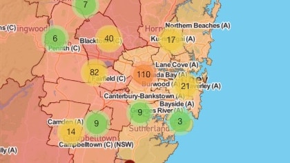 Photovoltaic installations by LGA. Picture: Australian PV Institute