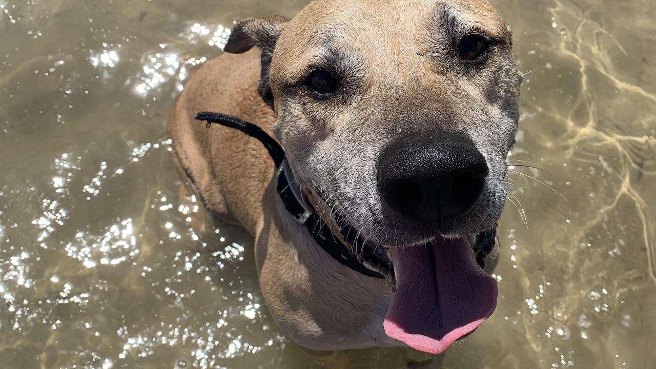 Happy Boy enjoying his day at the beach Picture: Allie