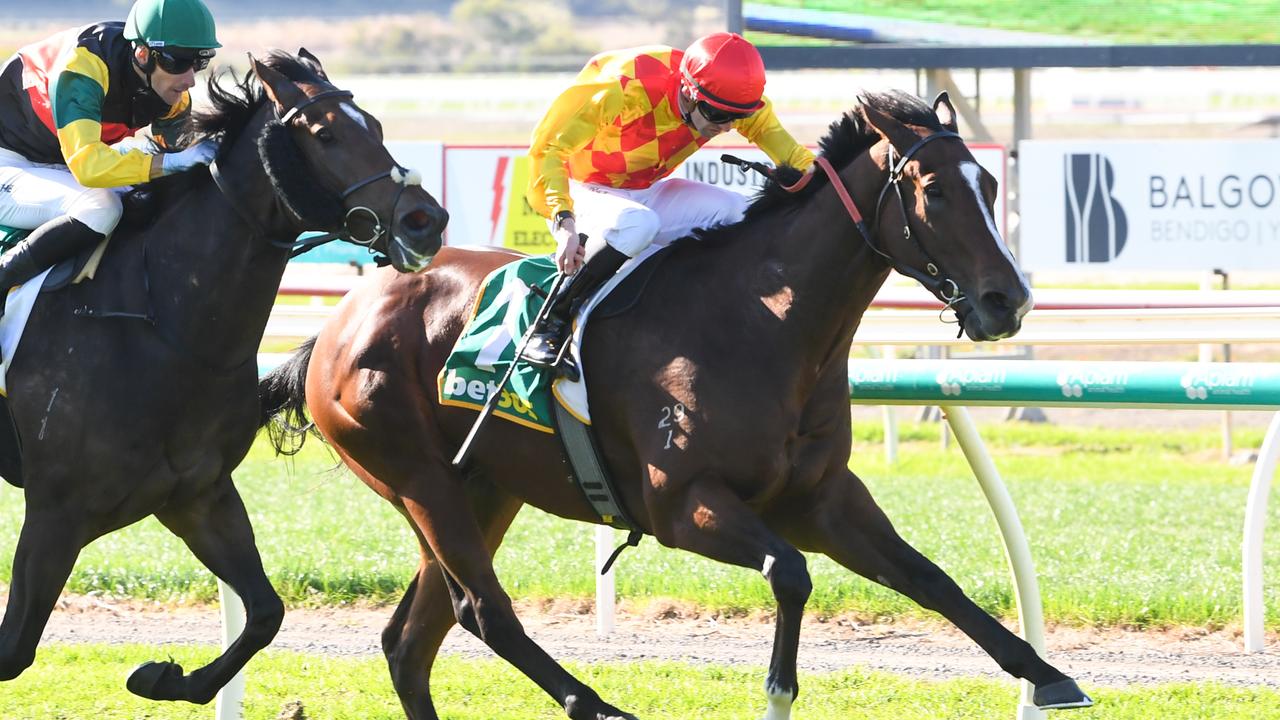 ‘Shows my age’: Brown prepares second horse with same name 20 years later