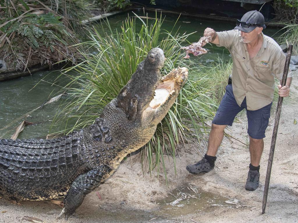 David Littleproud snaps back at reports of 'cruelty' to crocodiles