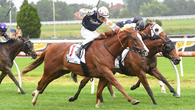 Just Folk wins the Eclipse Stakes at Caulfield in December last year. Picture: Brett Holburt / Racing Photos