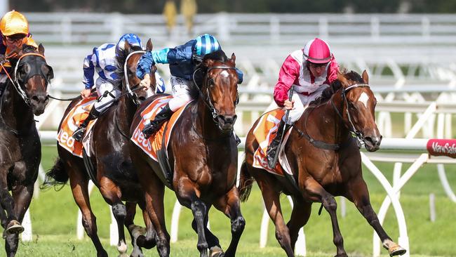 Portland Sky dead heats with Celebrity Queen in the Oakleigh Plate at Caulfield. Picture: George Salpigtidis – Racing Photos via Getty Images