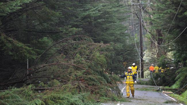 Storm damage on Mt Dandenong Tourist Road, Mount Dandenong. Picture: Andrew Henshaw