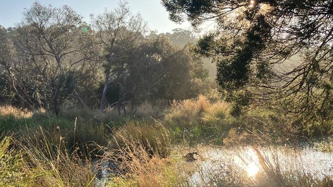 Objectors to the Harry Potter event belief it will disturb vulnerable animals and birds in The Briars wildlife sanctuary. Picture: supplied