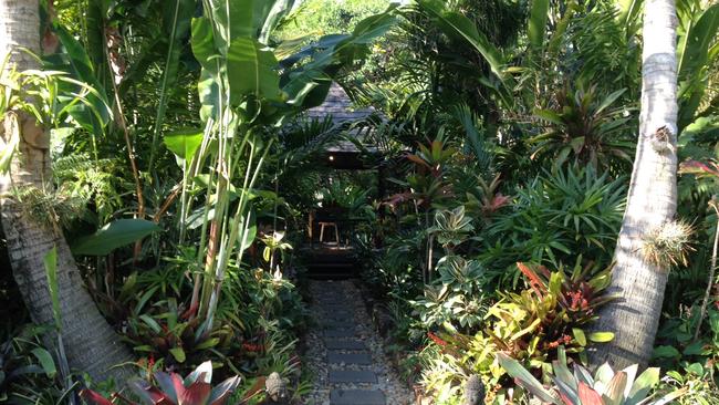 Queensland Open Garden Is A Hidden Oasis 