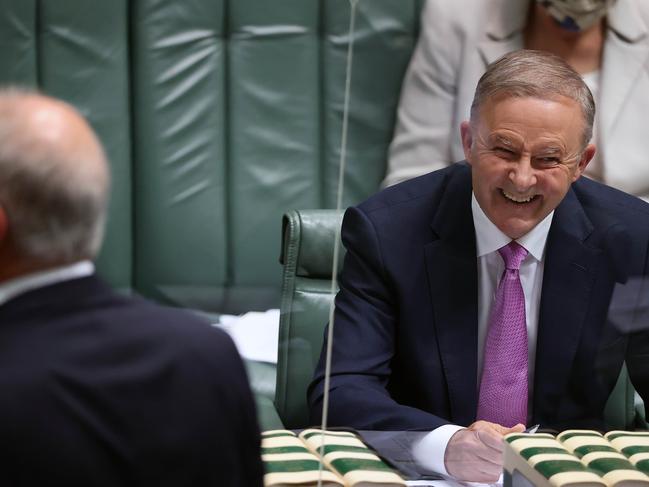 Anthony Albanese appeared to take great delight in the chaos. Picture: NCA NewsWire / Gary Ramage