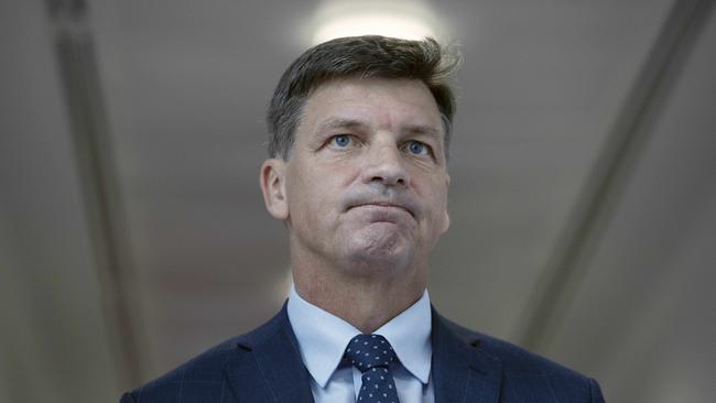 Angus Taylor says the world should look at the development of COVID-19 vaccines as an example of how governments could work together to create low-emissions technologies. Picture: Gary Ramage