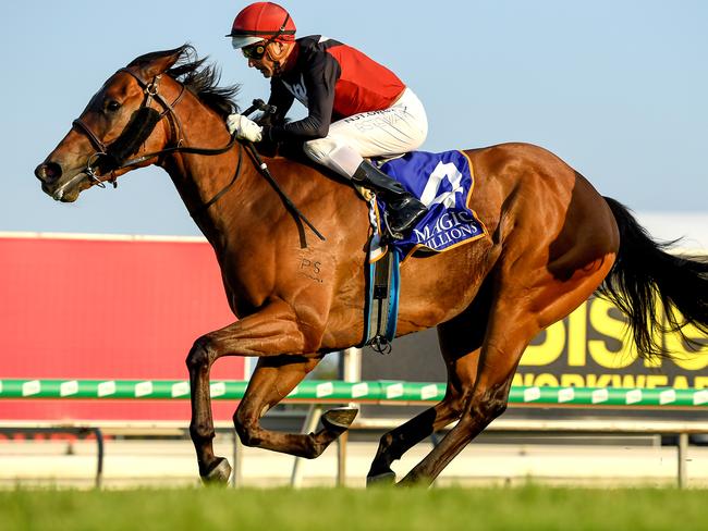 Brad Stewart pilots Phobetor to victory at the Gold Coast.