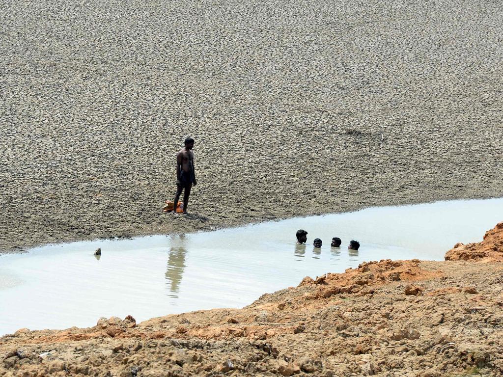 Indian youths looking for mud crabs and fish in a last bit of water in the dried out Puzhal reservoir on the outskirts of Chennai. Picture: AFP