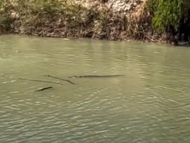 Cyaround Australia Tours took to social media to warn the public about the dangers of getting too close to crocodiles, who are known to drag unaware humans on the bank into the water.