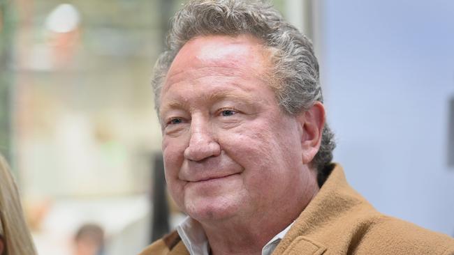 Fortescue’s Andrew Forrest. Picture: Keryn Stevens