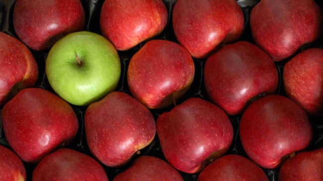 Comparing health to other sectors is like comparing apples and … other apples. Picture: Getty Images