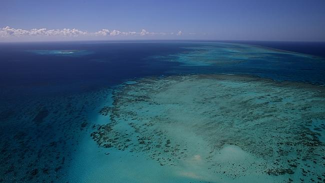 Finding Nemo. Why the Great Barrier Reef could be killed off by the end of this century.