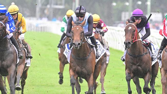 Rush Hour won the inaugural The Debut this year. Picture: Grant Peters — Trackside Photography.