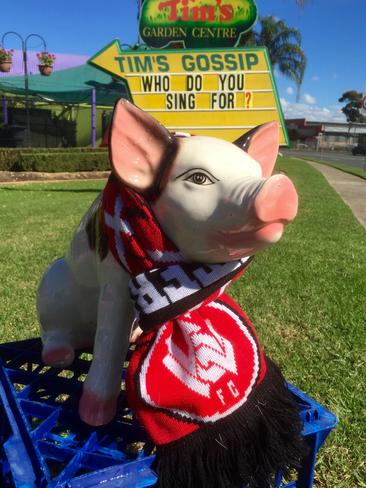 Cheering for the Western Sydney Wanderers.