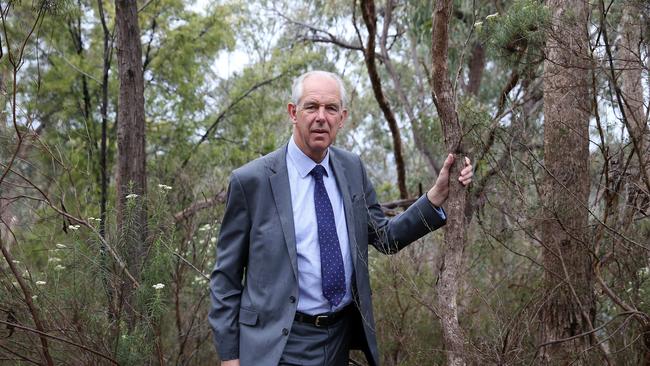 Nillumbik Councillor Peter Clarke wants more say on the Fitzsimons Lane upgrade.