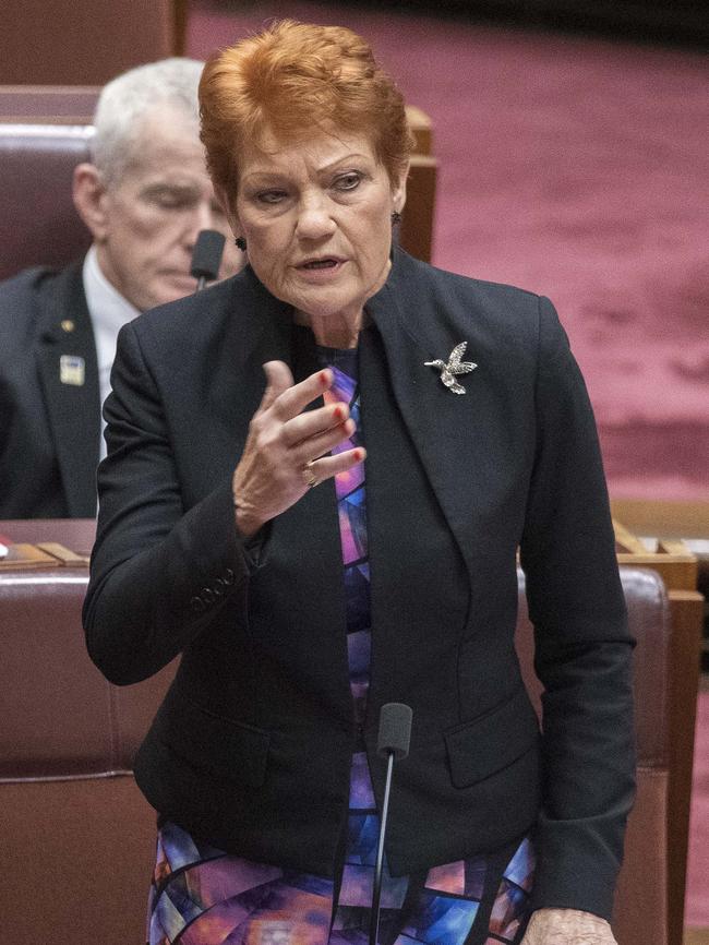 Pauline Hanson wants the government to extend the fuel excise cut for six months.