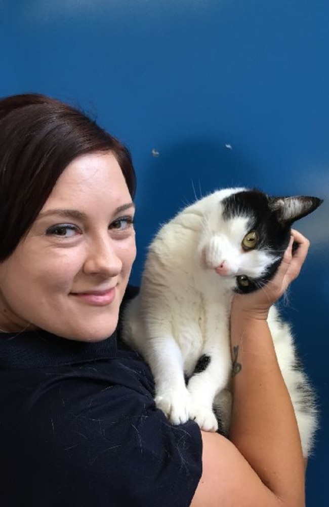 Nemo with his Kemps Creek shelter carer. Picture: Supplied.