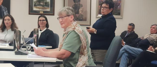 Cat advocates Helen Wright (standing) and Jillian Marston address the Campbelltown Council. Picture: Colin James