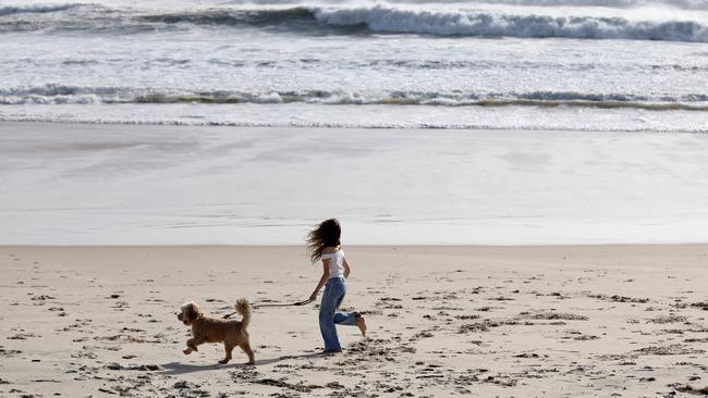 Early morning walkers watch the swell at Palm Beach as Cylone Alfred sits off the coast. Picture: Adam Head