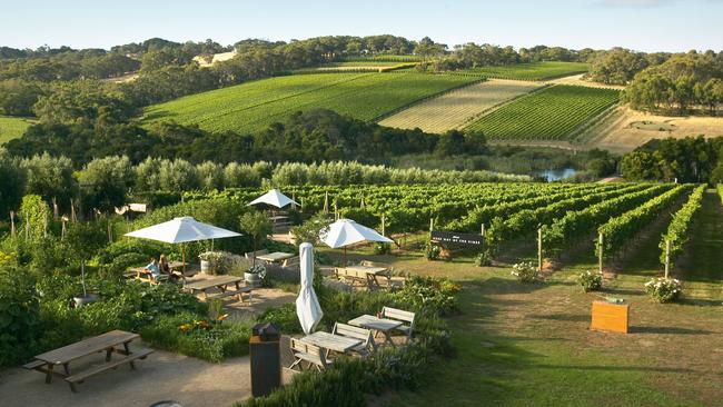 Montalto Winery on the Mornington Peninsula.