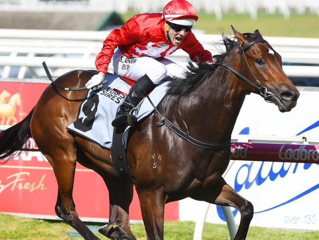 Noel Callow winds up smart youngster Thrillster at Caulfield. Picture: Getty Images