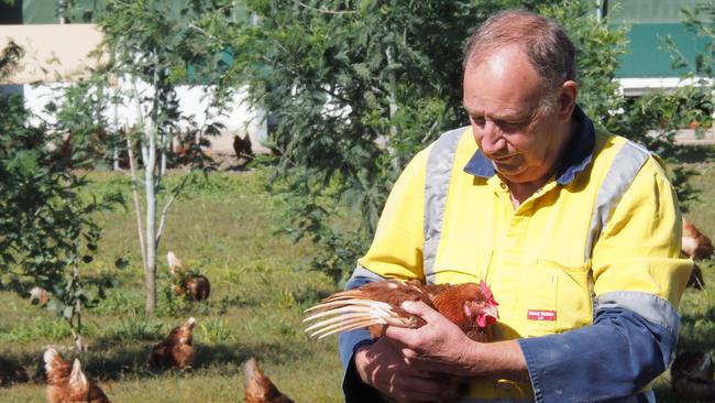 Poultry farmer John Sattler will begin welcoming visitors to his Pure Foods farm outside Longford. Picture: CHRISTOPHER TESTA