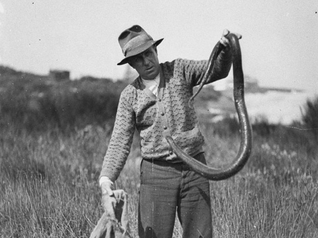 George Cannin 1934. Picture: Sam Hood. Picture Credit: State Library