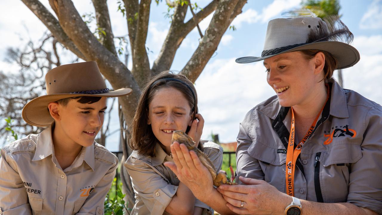 Be a mini zookeeper for a day at Sydney Zoo.