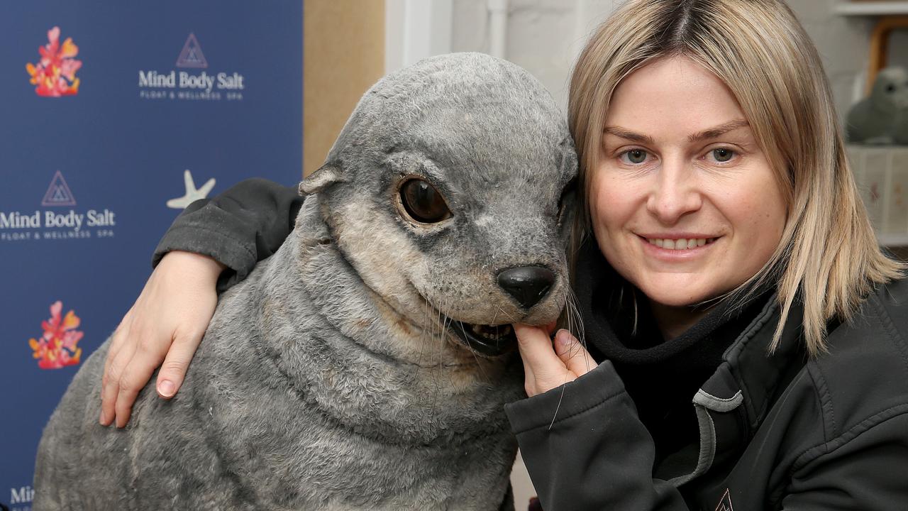 Salty the Seal from Smorgy’s back in Geelong | Herald Sun