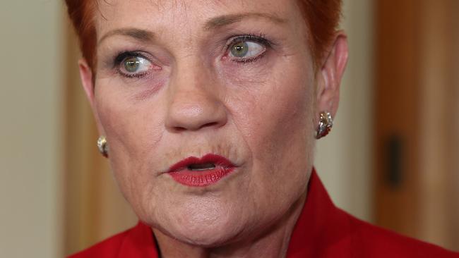 Pauline Hanson’s One Nation party has seen a surge in support ahead of the Queensland election. Picture: Gary Ramage