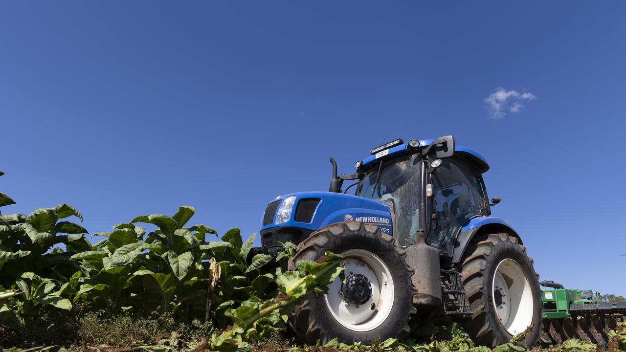 NSW Police Destroy 16 Tonnes Of Illegal Tobacco After Murga Raid | News ...